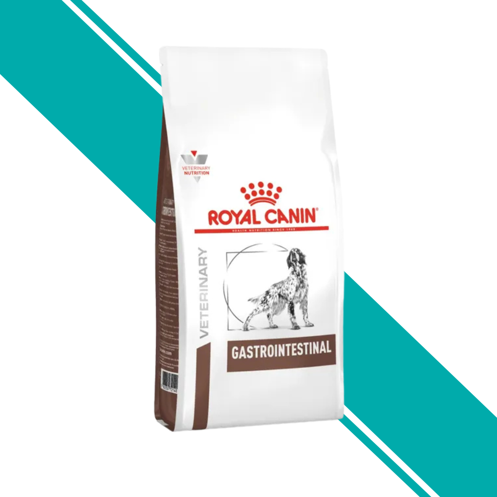 Royal Canin Gastrointestinal Dry Dog Food